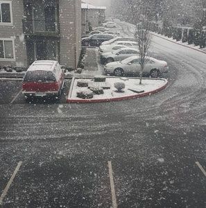 Meet your Posher, Samy